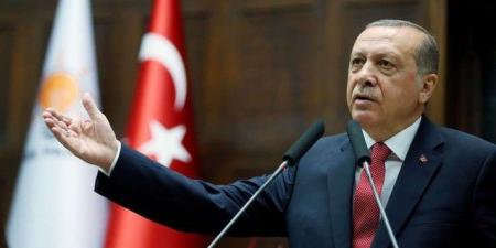 أردوغان: تركيا ستتخذ خطوات لترتيب لقاء بين بوتين وزيلينسكي