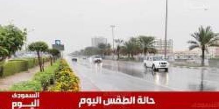 طقس السعودية اليوم الثلاثاء 3 يونيو 2025..درجات حرارة مرتفعة نهارًا وصافٍ ليلاً
