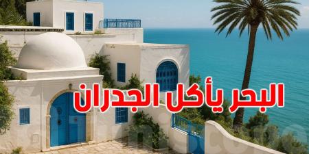 تحب تبني دارك على البحر؟: المهندس كريم اللوز ينصحك