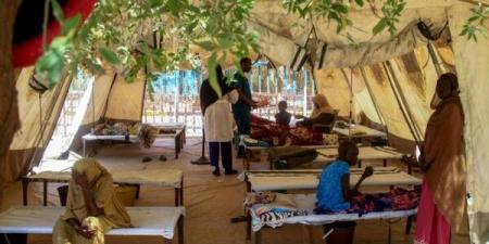 خمسة قتلى في هجوم على قافلة إنسانية أممية في شمال دارفور بالسودان