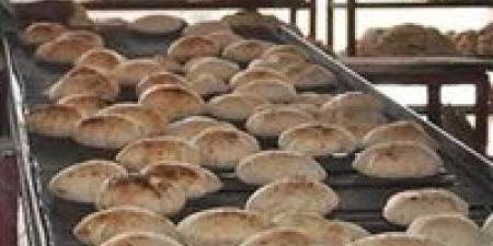 وزير التموين: نعد ونوفر نحو 280 مليون رغيف خبز للمواطنين يوميا.. ودي مسؤولية كبيرة جدا