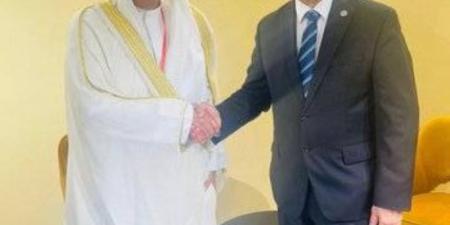 الأمين العام لمجلس التعاون يلتقي أمين منظمة الدول الأمريكية