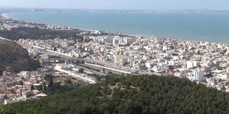 بن عروس: بلدية بن عروس تضبط برنامجا لمقاومة الحشرات بالتضبيب الحراري