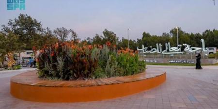 صيف الباحة.. فعاليات متنوعة وتجربة ترفيهية متكاملة للزوار