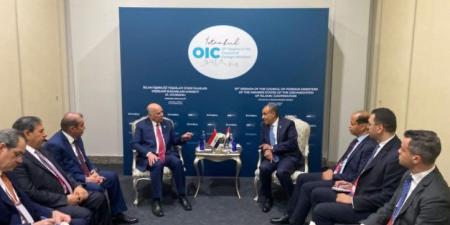 وزير الخارجية والهجرة يلتقي نظيره العراقي في اسطنبول