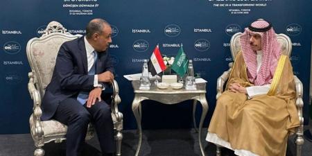 وزير الخارجية ونظيره السعودي يبحثان عقد منتدى الاستثمار وتدشين مجلس التنسيق الأعلى