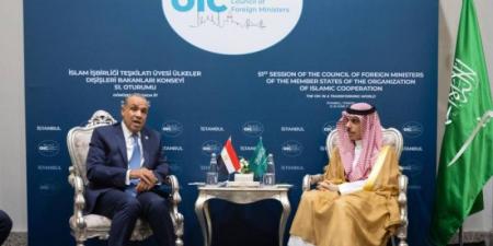 وزير الخارجية ونظيره المصري يبحثان التطورات الإقليمية وتداعياتها