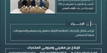 حرس الحدود بجازان يقبض على (7) مخالفين لتهريبهم (126) كيلوجرامًا من القات المخدر