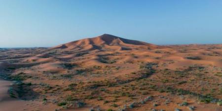تحديث آلية الدخول والتنزه في الصمان والدهناء