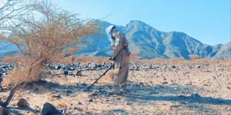 مسام ينزع (1243) لغمًا في اليمن خلال أسبوع