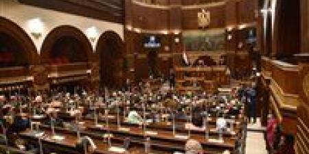 وكيل مجلس الشيوخ: تطوير كليات التربية ضرورة لبناء الإنسان المصري في الجمهورية الجديدة