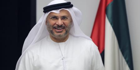 قرقاش: ثقتنا مطلقة في حكمة محمد بن زايد.. والإمارات ستبقى صوت العقل