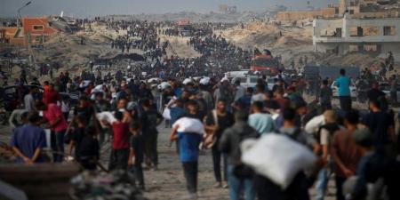 حصيلة الشهداء في غزة تقترب من 56 ألفا