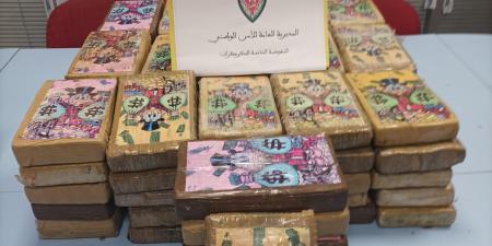 ضبط أزيد من 92 كلغ من الكوكايين بمعبر الكركرات.. وإيقاف سائق شاحنة مغربية قادمة من إحدى دول إفريقيا جنوب الصحراء