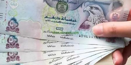 تراجع سعر الدرهم الإماراتي اليوم الثلاثاء 24 يونيو 2025 أمام الجنيه المصري