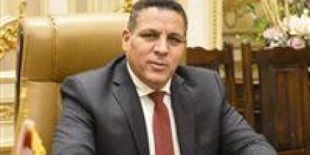 برلماني: الرئيس يضع أسس الانطلاقة الاقتصادية الحقيقية ويُعزز الثقة في مناخ الاستثمار