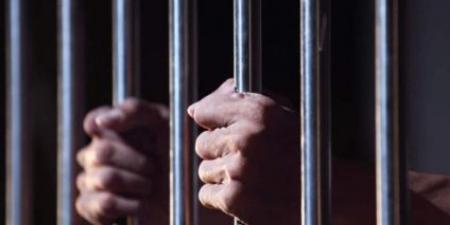 بقرار من محافظ الزرقاء .. توقيف شخص لتعذيبه قططًا في منزله