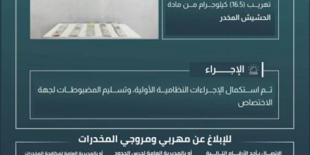 حرس الحدود بجازان يحبط تهريب 16.5 كيلوجرامًا من مادة الحشيش المخدر