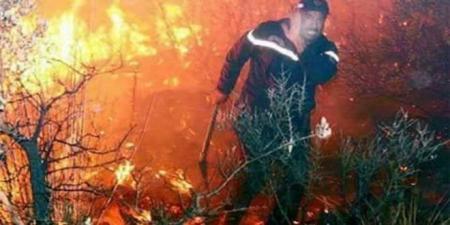 حريق يأتي على 5 هكتارات بمنطقة جرادو بزغوان..وهذه حصيلة الأضرار..