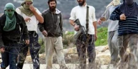 صهاينة اعتدوا على ممتلكات بمسافر يطا بالضفة المحتلة