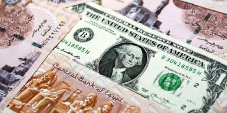 الجنيه يرتفع.. سعر الدولار في مصر اليوم الأربعاء 25 يونيو 2025