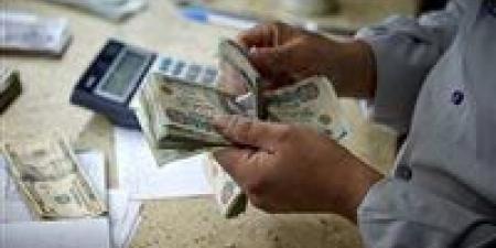 خطوات الاستعلام عن معاش تكافل وكرامة 2025.. وأبرز شروط الحصول عليه