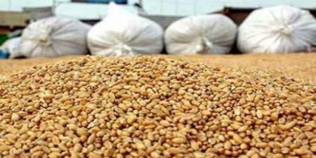 ديوان الحبوب يُعلن عن انطلاق خلاص مستحقات مزارعي الحبوب بولاية القيروان وسيدي بوزيد وزغوان