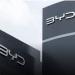 «BYD» تكشف عن نيتها إطلاق سيارة كهربائية رخيصة في هذه الأسواق
