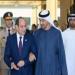 الرئيس السيسي وبن زايد يؤكدان أهمية الوقف الفوري لإطلاق النار في غزة