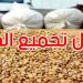 تقدم موسم تجميع صابة الحبوب: القيروان في المرتبة الأولى