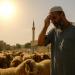 ارتفاع درجات الحرارة إلى 40 درجة مئوية في عيد الأضحى : المعهد الوطني للرصد الجوي يحذّر من موجة حر مطوّلة بعدد من المناطق