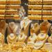 سعر الذهب في قطر اليوم الأحد 22 يونيو 2025