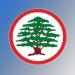 القوات اللبنانية في الكورة استنكرت الإعتداء الذي طال مكتب تيّار المردة في بلدة كفرصارون