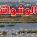 بلدية تونس تواصل مكافحة ''الوشواشة'' بضفاف سبخة السيجومي