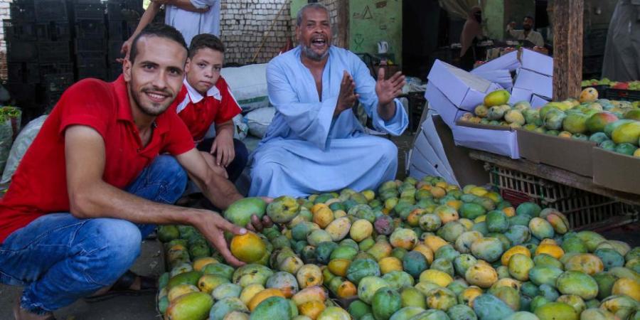 القومي لسلامة الغذاء: البطاطا والمانجو والفاصوليا أكثر الحاصلات الزراعية المصدرة خلال أغسطس