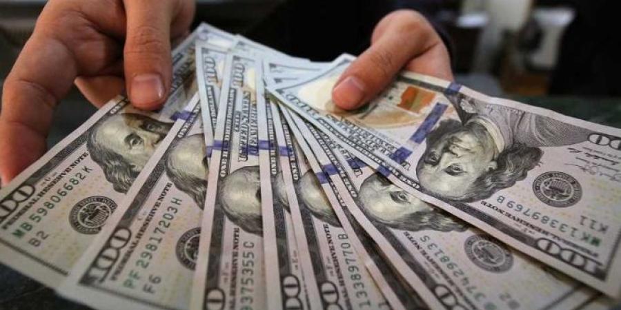 سعر الدولار مقابل الجنيه المصري ببداية تعاملات اليوم الإثنين 2 سبتمبر