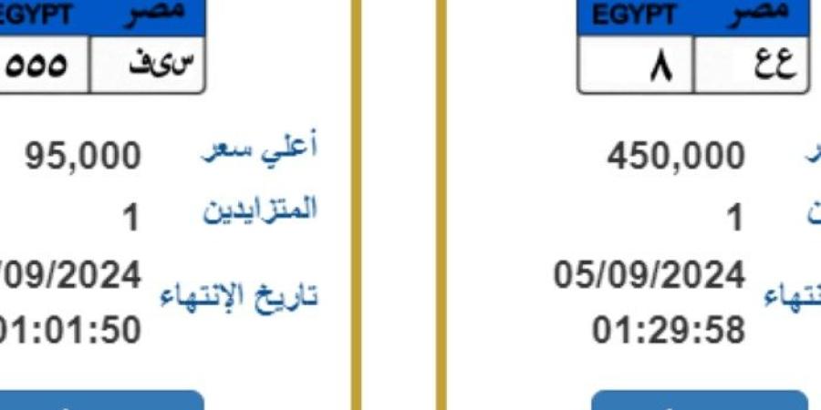 سعرهم يتخطى المليون جنيه، «المرور» تطرح 4 لوحات معدنية مميزة للمزايدة