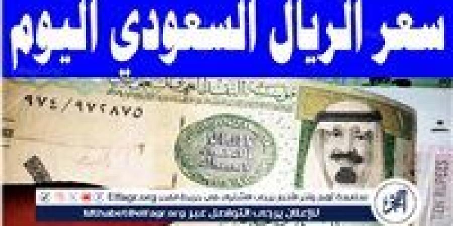 عملة المملكة أمام الجنيه المصري: اعرف سعر الريال السعودي اليوم