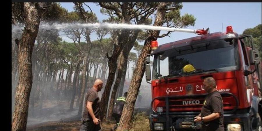 وزير الصحة اللبناني:  الهجوم الإسرائيلي يضرب بعرض الحائط الاعراف الدولية