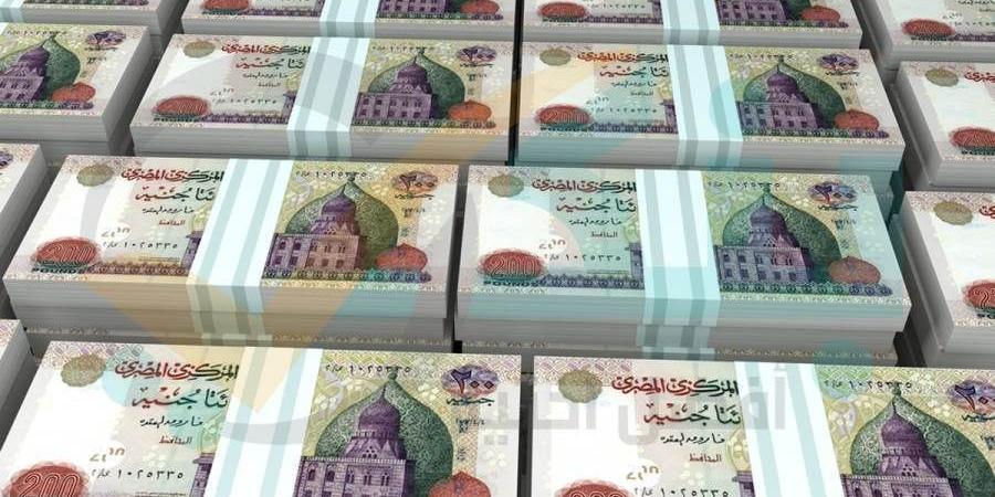 محفظة القروض المباشرة بالبنوك المدرجة بالبورصة ترتفع لـ388.9 مليار جنيه بنهاية يونيو 2024