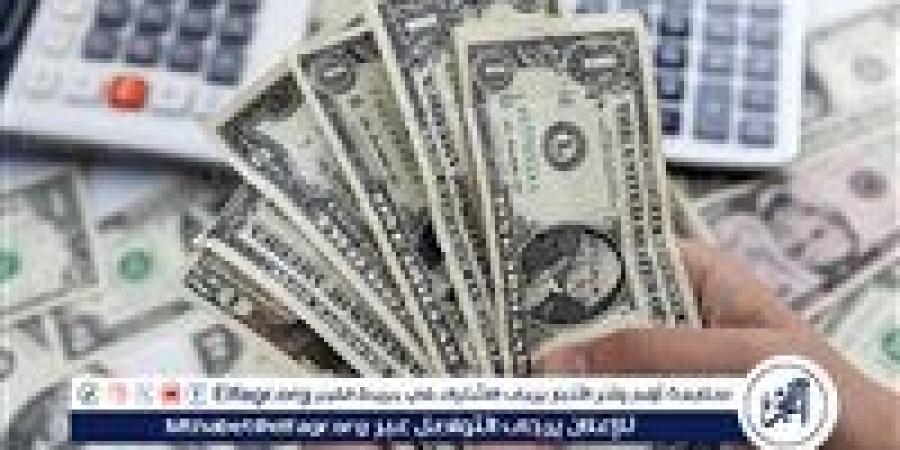 ثبات أسعار الدولار في مصر بعد تراجع الأسبوع الماضي وتثبيت الفائدة