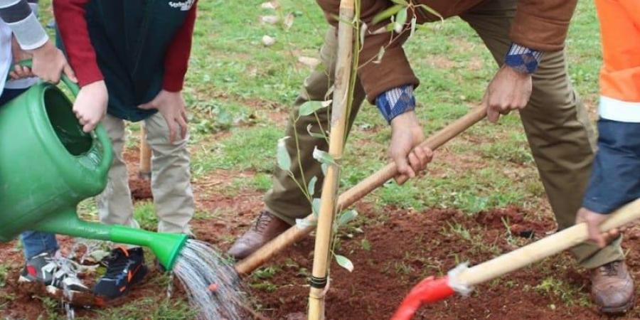 فعاليات بيئية بيضاوية تطالب بتوفير 10 ملايين شجرة لمواجهة "زحف الإسمنت"