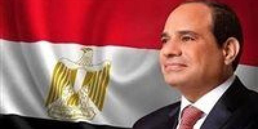 الرئيس السيسي يؤكد أهمية التعاون المشترك والتنسيق المكثف بين مصر والسعودية