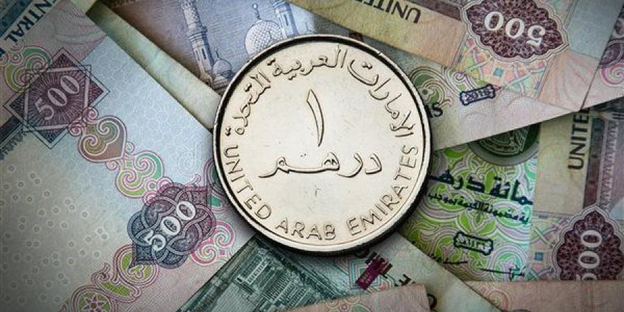 سعر الدرهم الإماراتي اليوم الاثنين 9-9-2024 في البنك المركزي المصري