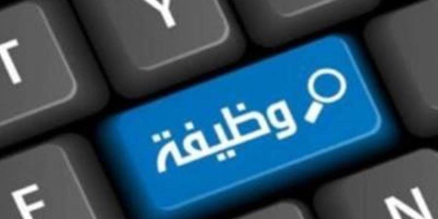 وظيفة خالية في مصرف أبوظبي الإسلامي - مصر «الشروط والتفاصيل»