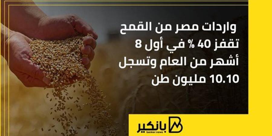 واردات مصر من القمح تقفز 40% في أول 8 أشهر من العام وتسجل 10.10 مليون طن