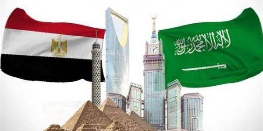 نشرة التوك شو.. استثمارات سعودية في مصر وإخلاء سبيل أحمد فتوح