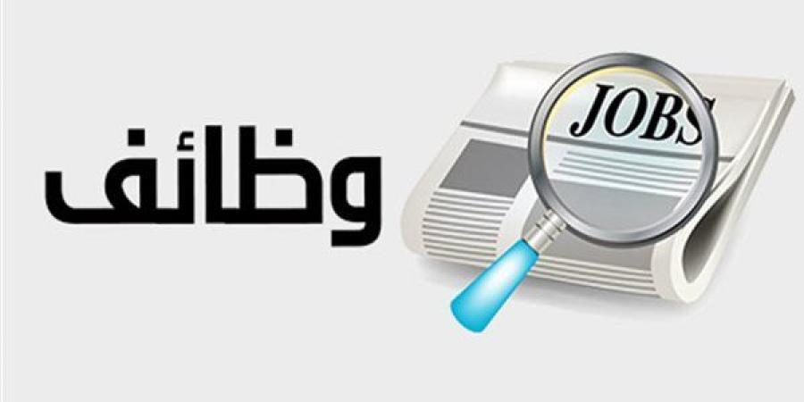 فرص عمل للشباب.. تعرف على التفاصيل