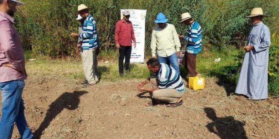 "رئيس بحوث الصحراء" يستعرض إنجازات المركز خلال عام