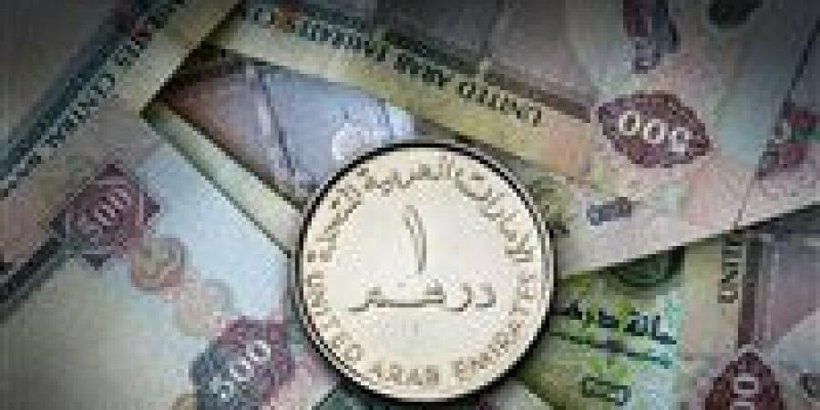 سعر الدرهم الإماراتي مقابل الجنيه اليوم الأربعاء 25-9-2024